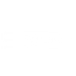 Selena Cars
